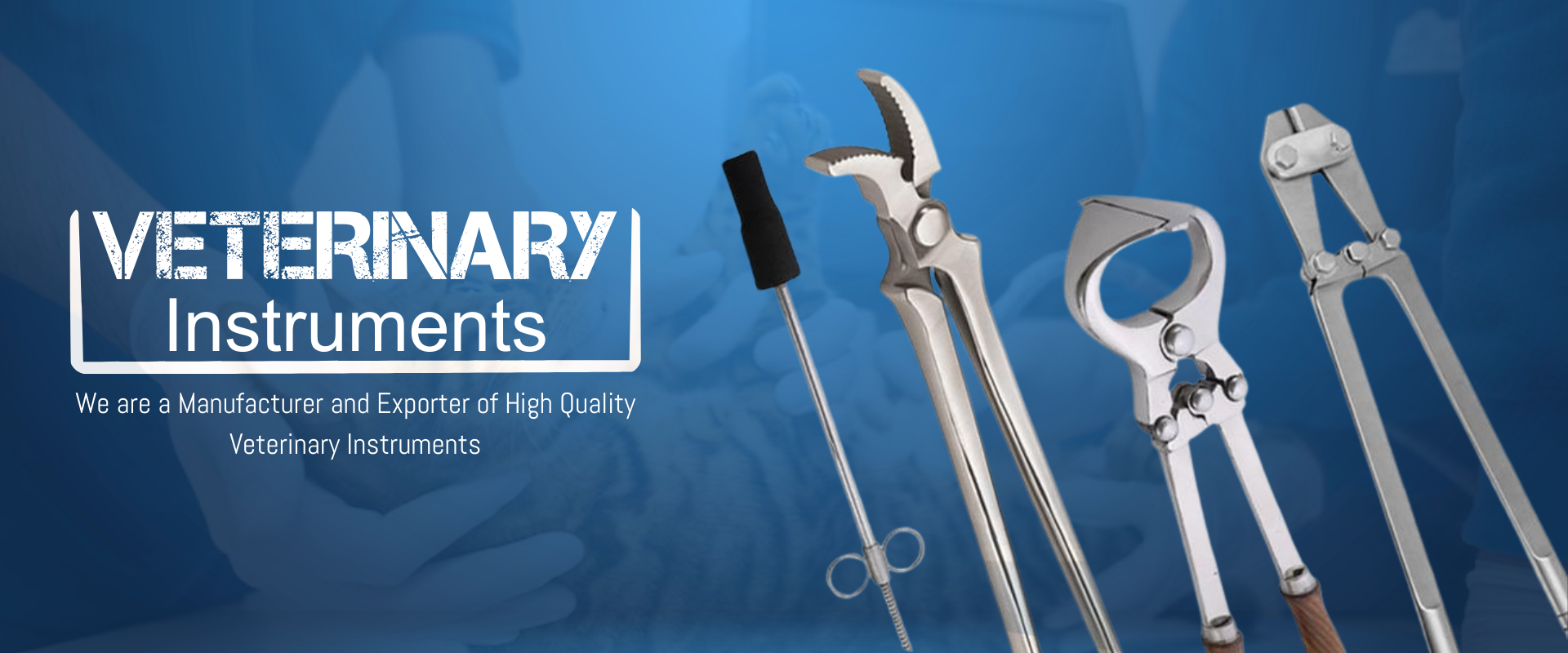 VETERINARY-Banner--rfvfoane7ckx2y19mi9sqzyg4o6elqvf9qja9yvkg0